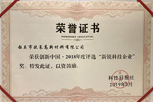 新銳科技企業(yè)